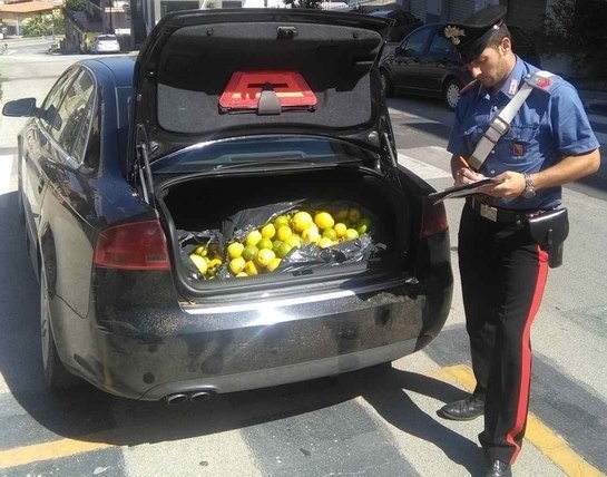 Melilli. Arrestati due priolesi per furto di limoni in contrada Sabbuci