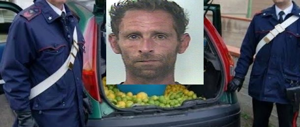 Avola, ladro di limoni sorpreso dai contadini in contrada Sanghitello: arrestato