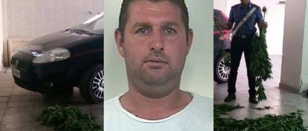 piante cannabis rosolini - siracusatimes