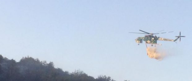 Canader Siracusa Times