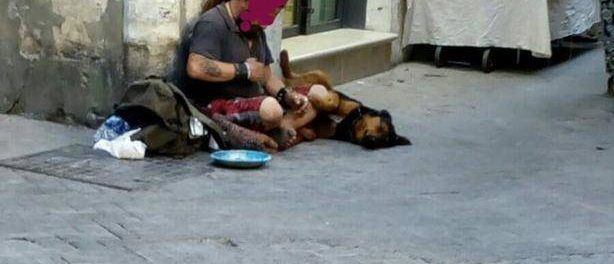 clochard ortigia - siracusatimes