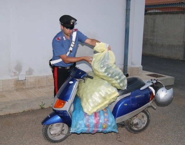 Siracusa, i limoni rubati caricati nello scooter, scoperti dai Carabinieri: arrestati