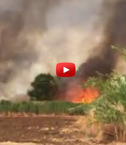 Incubo incendi a Siracusa: brucia la riserva del Ciane, paura sulla strada per Ognina