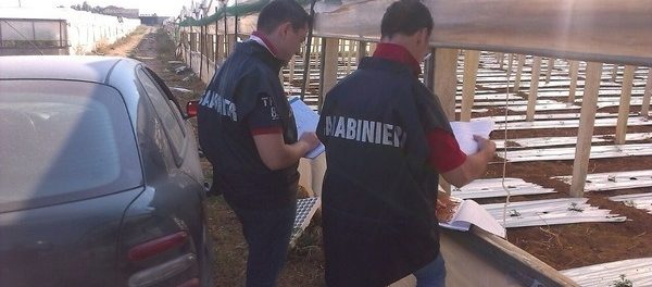 carabinieri_lavoro - siracusatimes