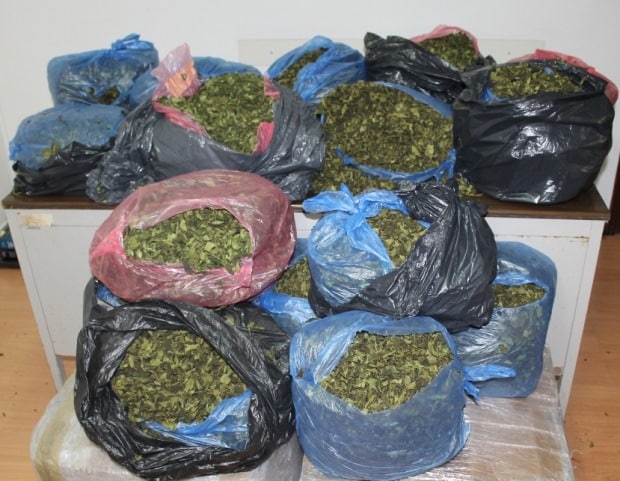 Sicilia, Pozzallo. Arrestato corriere somalo: trasportava 36 Kg di “Khat”