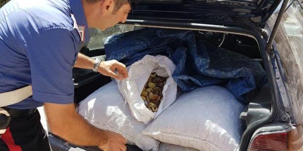 Noto, sorpresi a rubare 300kg di mandorle. I Carabinieri denunciano due uomini