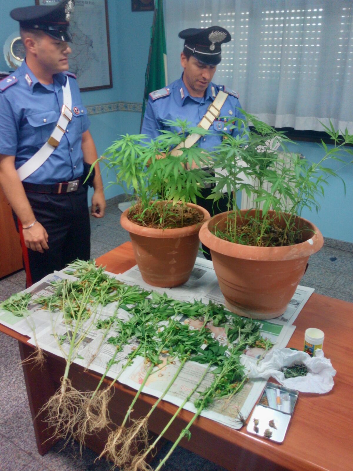 Floridia. Aveva una piccola piantagione a casa. Arrestato dai Carabinieri un 46enne