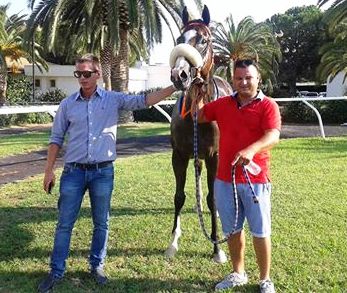 Siracusa, ippica: Seconda Tris alla favorita Ramaya