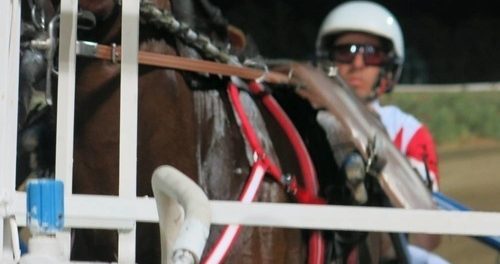 trotto e miss - siracusatimes