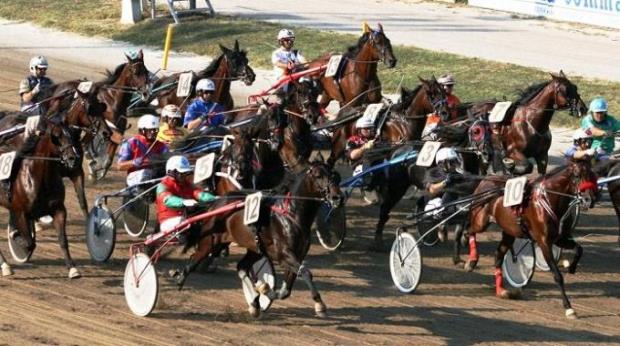 Siracusa, ippica. Si riparte con il trotto all’Ippodromo del Mediterraneo