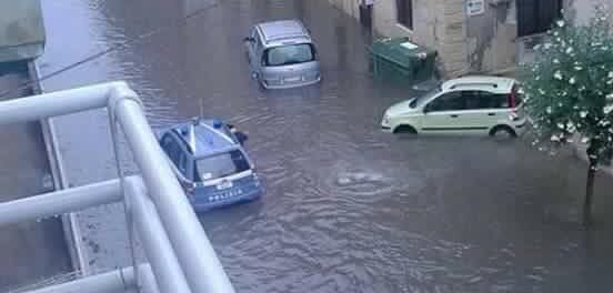 14440798_10209443860046595_7477409696314227434_n