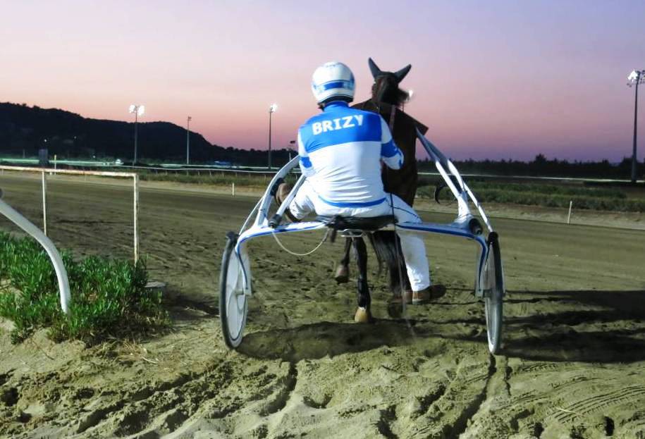 Siracusa, ippica: Urania Bi vince all’Ippodromo del Mediterraneo