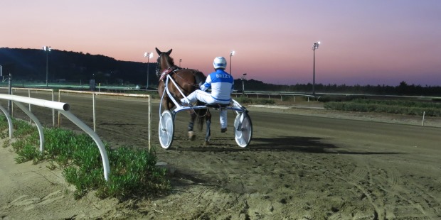 Siracusa, ippica: Be My Whisper centra la vittoria alla sua prima uscita