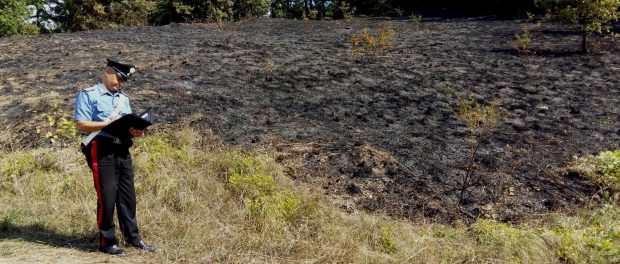 Sterpaglie Carabinieri Siracusa Times
