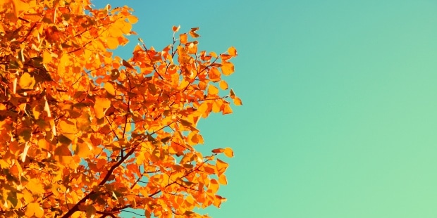 Au revoir estate, arriva l’equinozio d’autunno