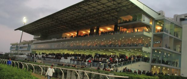 photo-maria-luisa-ferraroc-96