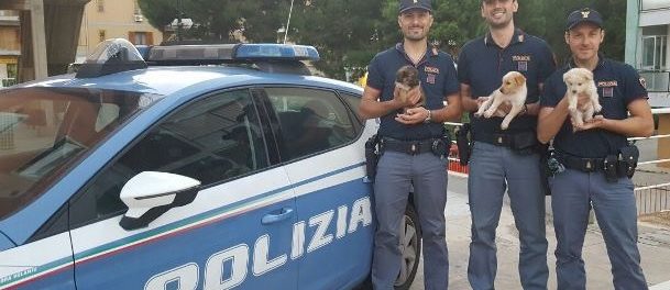 cuccioli-salvati-siracusatimes