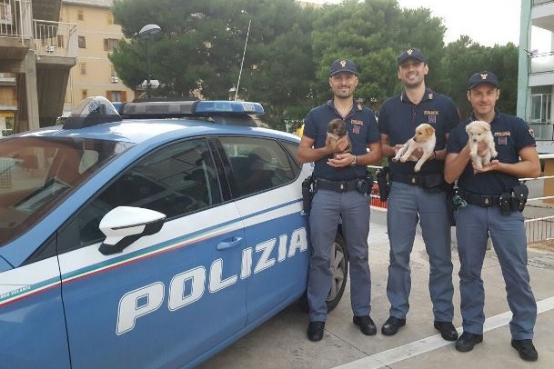 Siracusa, cuccioli di cane salvati dalla Polizia: soccorsi e affidati all’associazione “Snoopy”