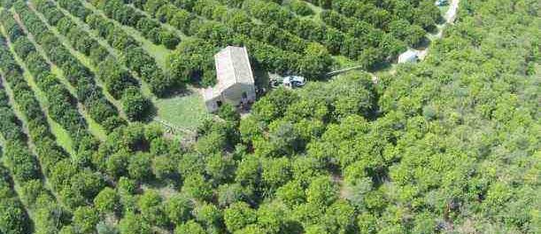 polizia_droga_lentini_-_siracusatimes