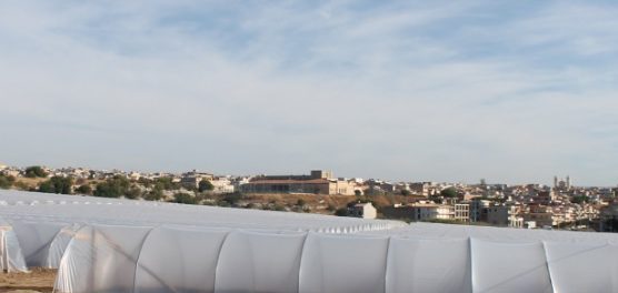 serre-rosolini-siracusatimes