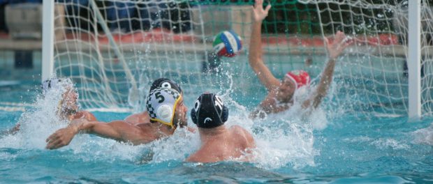 b914b20f-010f-4224-836d-9369b59a1909