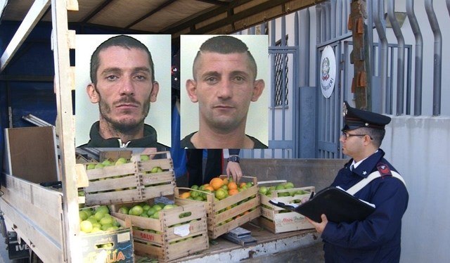 Noto. Furto limoni in contrada Marganelli, arrestate due persone dai Carabinieri