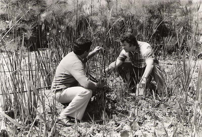 Siracusa, il fondatore del Museo del Papiro Basile sul fiume Ciane: “quanta poca memoria”