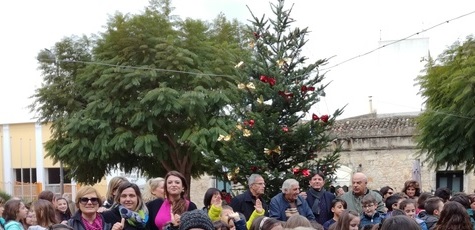 “Natale 2016” a Cassibile: la festa dell’albero e tutte le altre iniziative organizzate dalla Circoscrizione