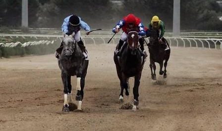 Ippica Siracusa Times