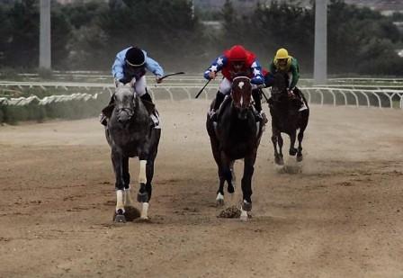 Siracusa, ippica. Perla dell’Etna per sognare il Criterium aretuseo