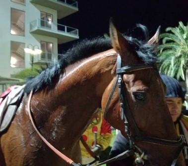 Siracusa, ippica. The Noble si aggiudica il Premio Salsomaggiore