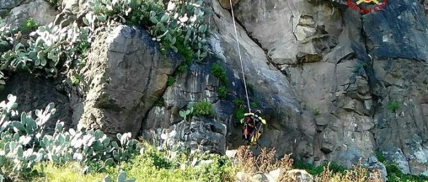 Cane bloccato in dirupo, salvato da vigili del fuoco