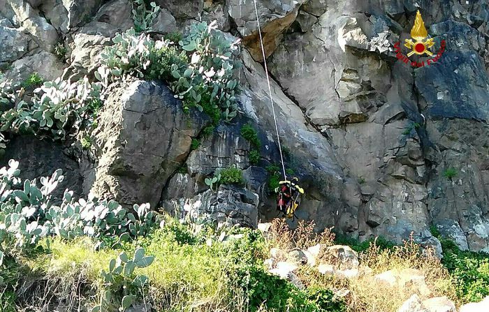 Cane bloccato in dirupo, salvato dai Vigili del Fuoco
