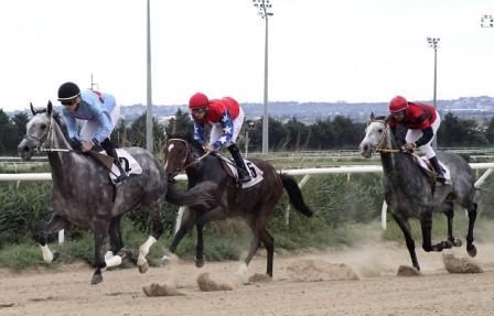 Siracusa, ippica. domeniche di galoppo all’Ippodromo del Mediterraneo