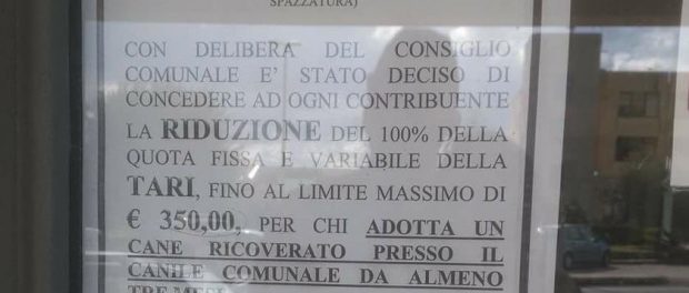 sortino adotta cane sconti tasse - siracusatimes