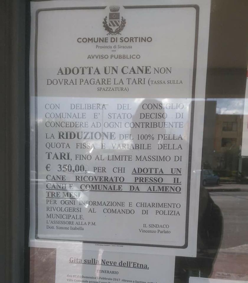 Sortino, sconto sulla Tari per chi adotta un cane