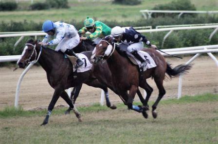 Siracusa: ippica. Domenica seconda Tris all’Ippodromo del Mediterraneo