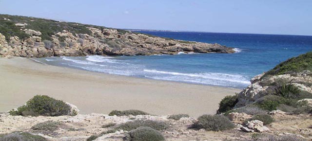 Noto, il Tar dice no alla costruzione di 120 villette: salva la “macchia mediterranea” di Eloro