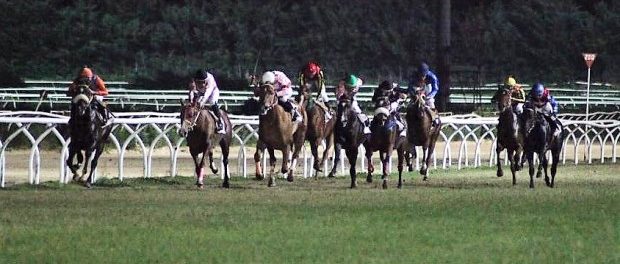 premio siena galoppo tris quarte quinte ippodromo del mediterraneo siracusa times