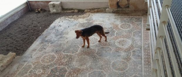 villa romana del telalro - siracusatimes