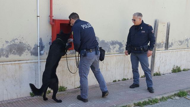 Siracusa, Blitz con i cani antidroga tra i banchi di scuola: sequestrata marijuana