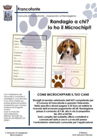 Francofonte, lotta al randagismo. Il Comune lancia una campagna di sensibilizzazione