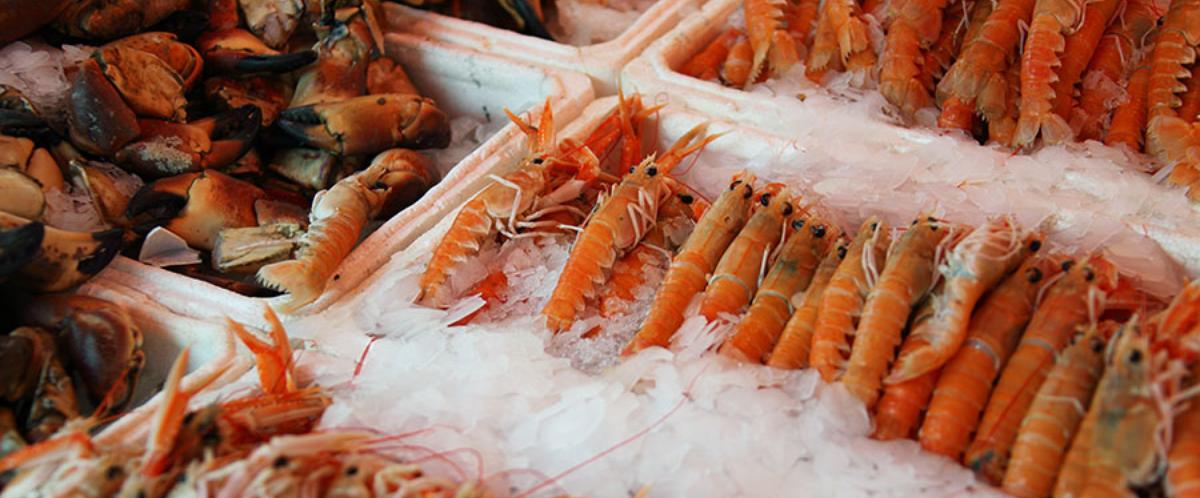 Siracusa, Blitz nelle cucine dei locali in Ortigia: additivi alimentari nel pesce e irregolarità HACCP, sanzionato un ristoratore