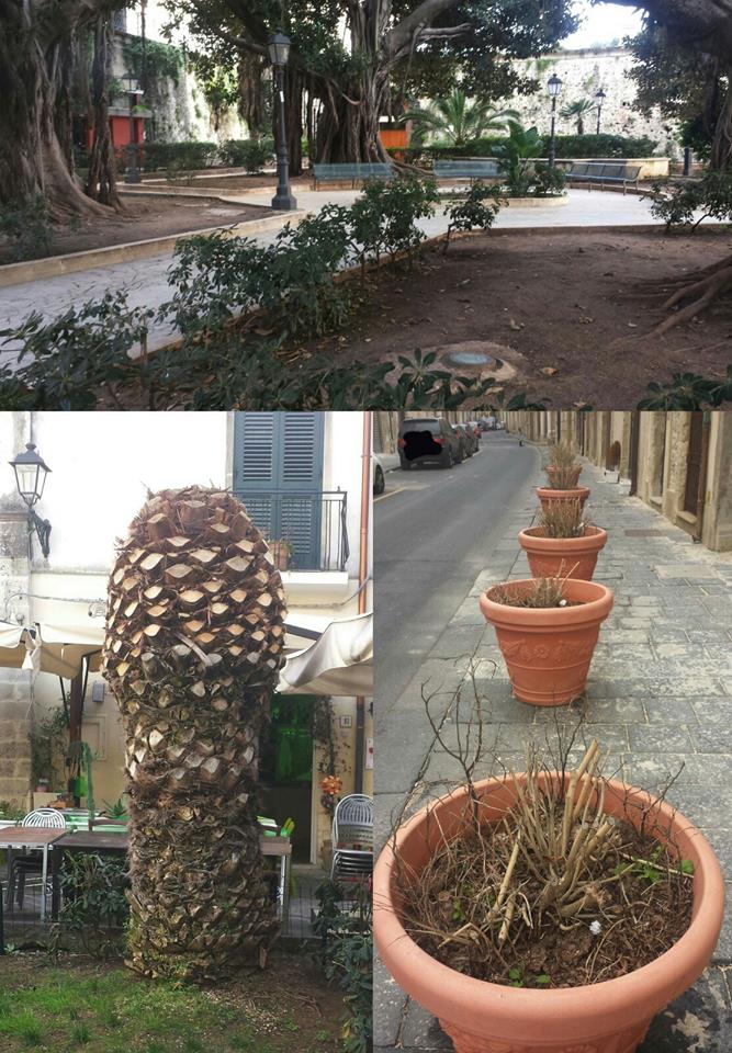 Siracusa. Verde pubblico, Grienti e Gibilisco (circoscrizione Ortigia): “interventi di manutenzione inefficaci”