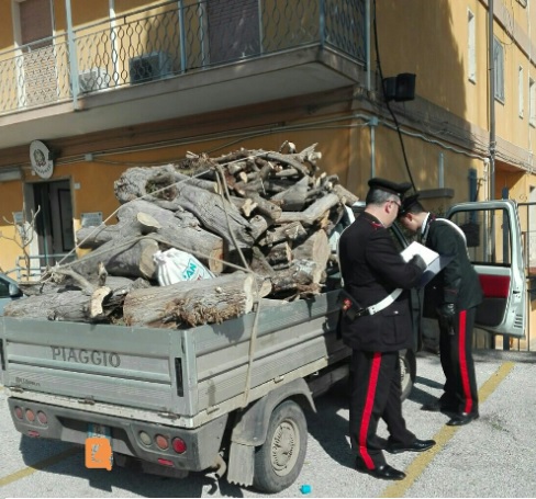 Siracusa, sorpresi a rubare 8 quitnali di legna da un terreno a Tremilia: arrestati dai Carabinieri
