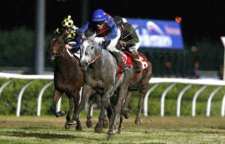 Siracusa, ippica. Kylach Me If U Can il favorito del Premio Miss Gris