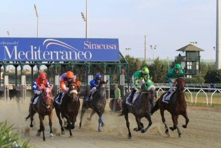 Siracusa, ippica. Jackville Go, Diamon Grey e Larga Charla con più di una chance all’Ippodromo del Mediterraneo