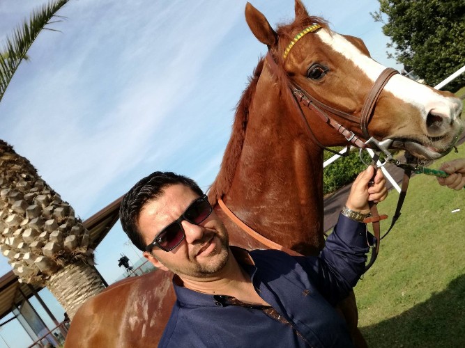 Siracusa, ippica. PretezelLogic torna a dominare all’Ippodromo del Mediterraneo