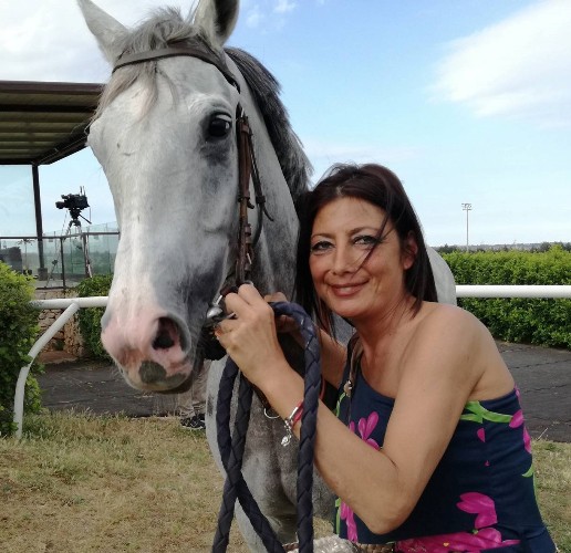 Siracusa, ippica. Riconferma per Comet Grey all’Ippodromo del Mediterraneo