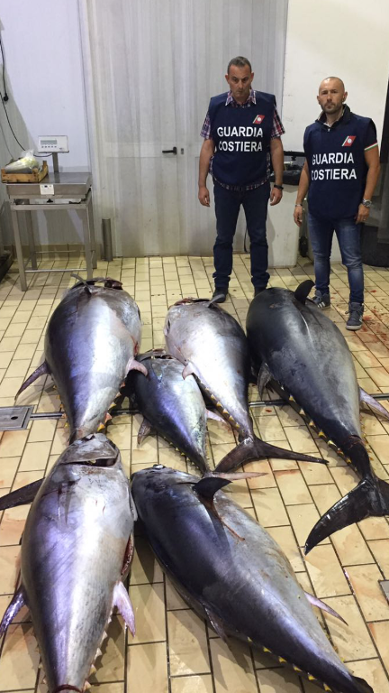 Siracusa, la Guardia Costiera sequestra 800 chili di tonno rosso privo di certificazione